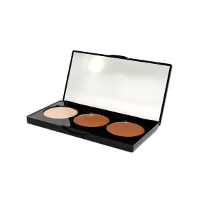 Blush Makeup Cosmetics Contour Palette - 3 Well Cream