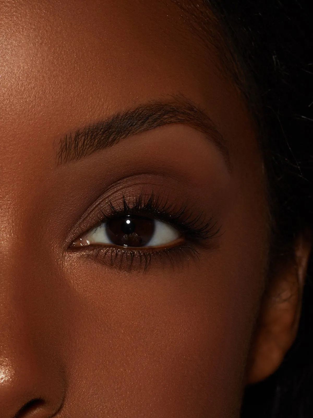 Dark Matte | Brow Highlight
