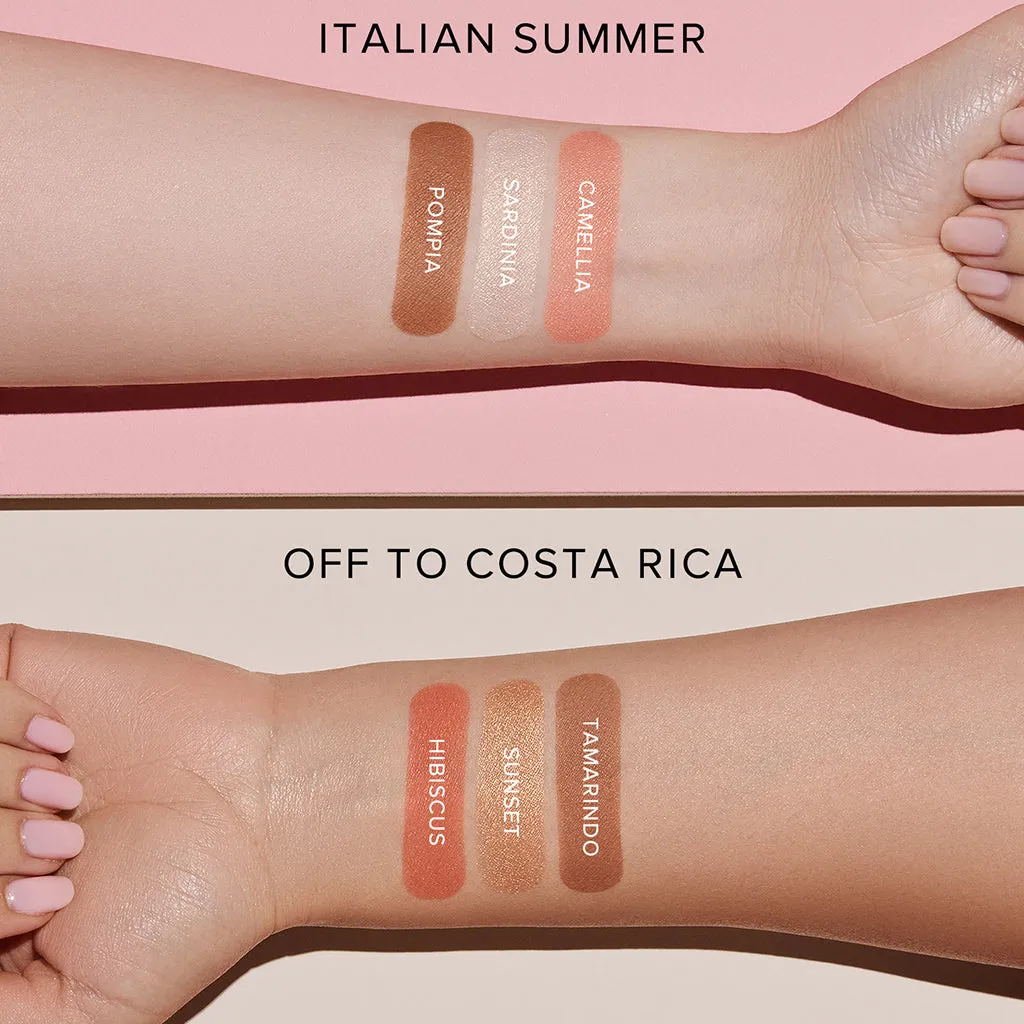 FACE PALETTE
