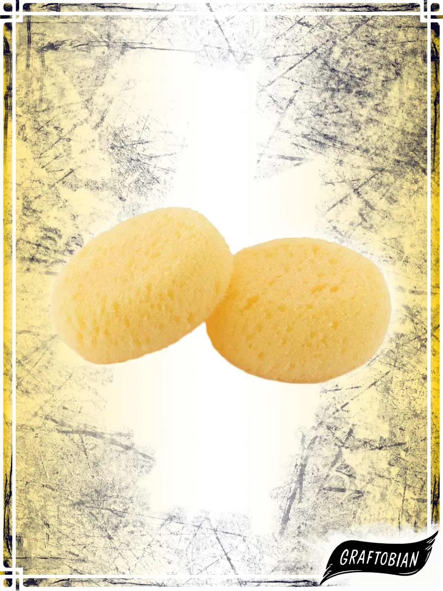 Makeup Circle Sponge
